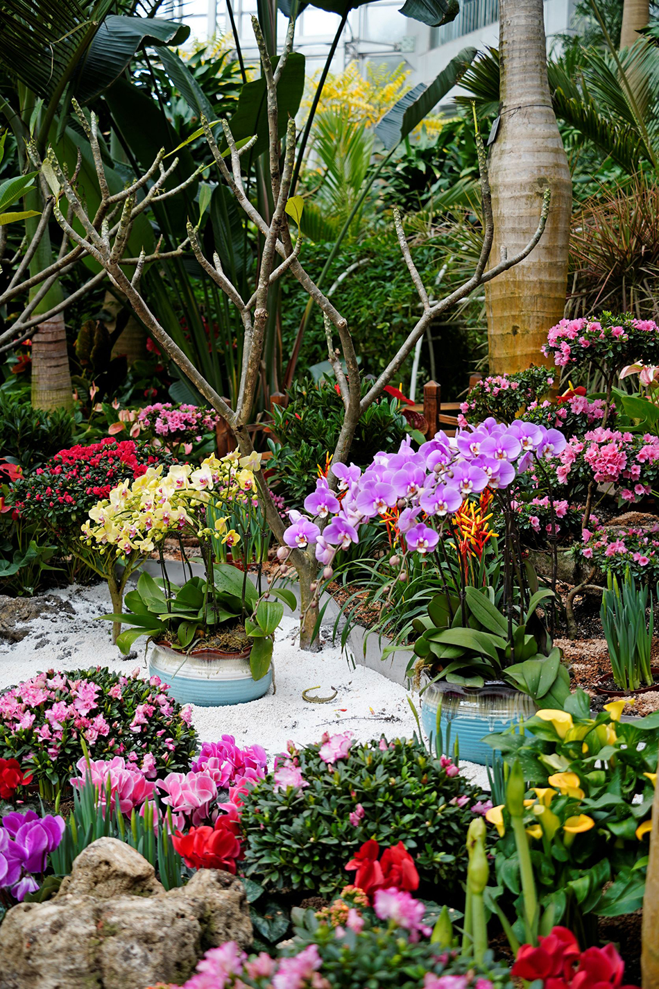 北京国际花卉博览会_北京国际花卉博览会_北京国际花卉总部基地