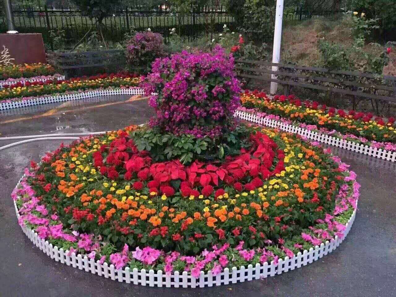 北京国际花卉博览会_国际大数据博览201会_昆明花卉博览