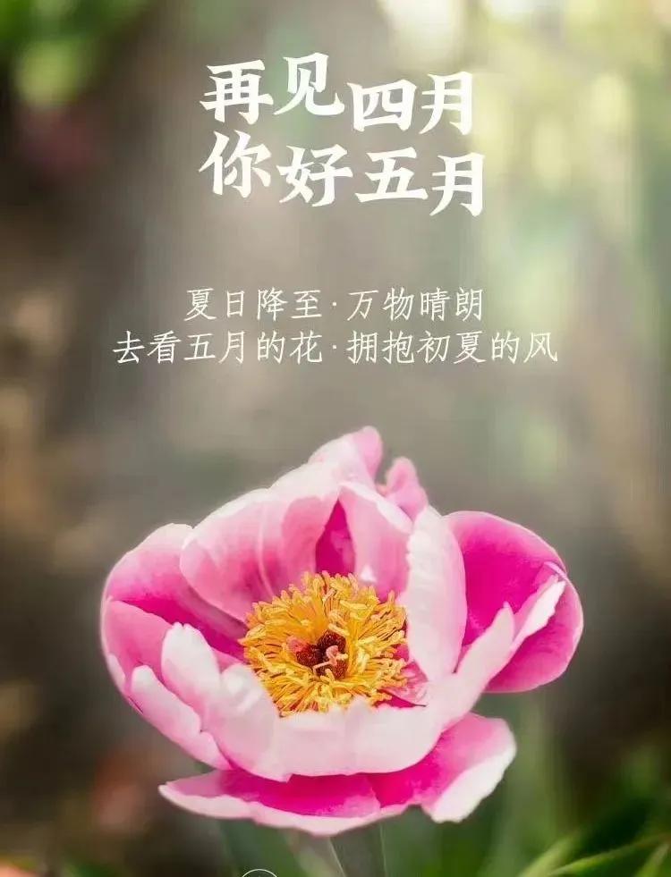 两性交往，用这几个技巧就足够了，中年人可以见解一下