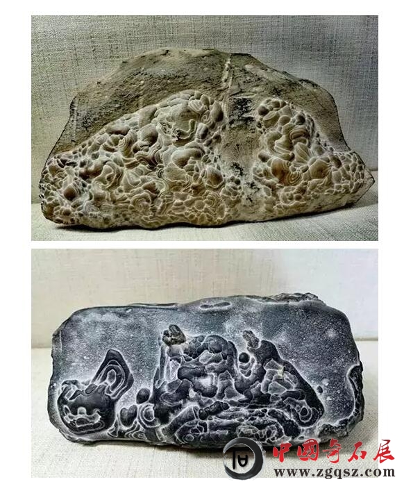 广东观赏鱼虾协会_观赏鱼缸石头上长草_中国观赏石协会展会