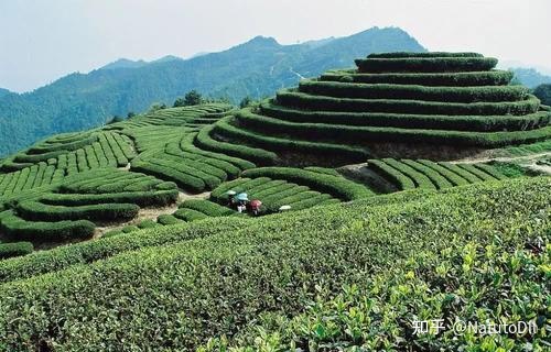 2012中国广州国际陶瓷工业技术与产品展览会_2012春季中国(广州)国际茶业博览会_中国(广州春季)婚博会