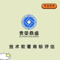 西藏拉萨市专利评估注册资金评估技术评估