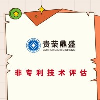 湖北省宜昌市专利评估知识产权评估方法有哪些字号评估公司