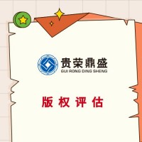 广东省韶关市公司的无形资产怎么评估知识产权评估方法有哪些