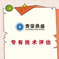 广东省清远市专有技术价值评估
