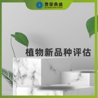 陕西省榆林市无形资产评估植物新品种评估今日更新