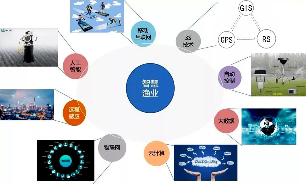 哈尔滨农业博览中心高度_杨凌农业博览会_哈尔滨农业博览中心最新消息