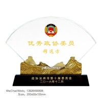 政协奖牌 换届纪念品 十佳政协委员纪念证牌 杰出提案奖品定做