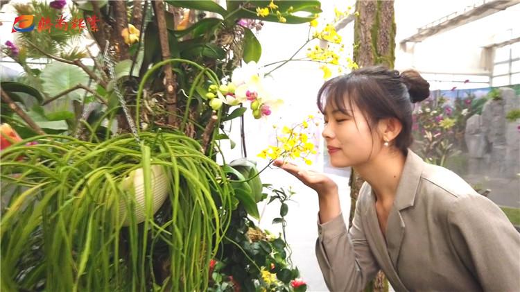 踏花行花卉论坛 家庭园艺_唐山园艺博览会的等级_济南花卉园艺博览会