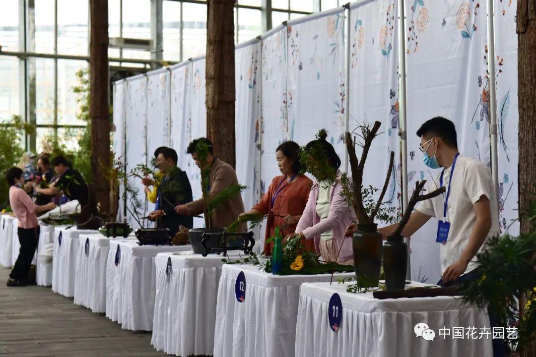 银川园艺博览园电话_银川园艺博览会_唐山园艺博览丹凤朝阳