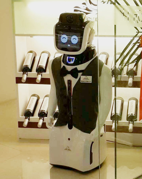 家用机器人展会_上海家用电梯展会_2019家用照明灯具展会
