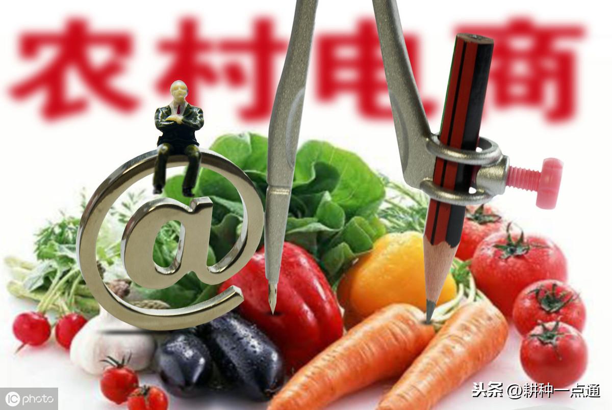 农高科猪腹泻三联疫苗,能看到此产品说明书_销售农产品网站_农产品怎么销售