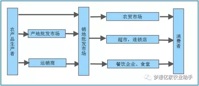 新型农产品流通方式_新型商贸流通企业_浙江农都农产品流通