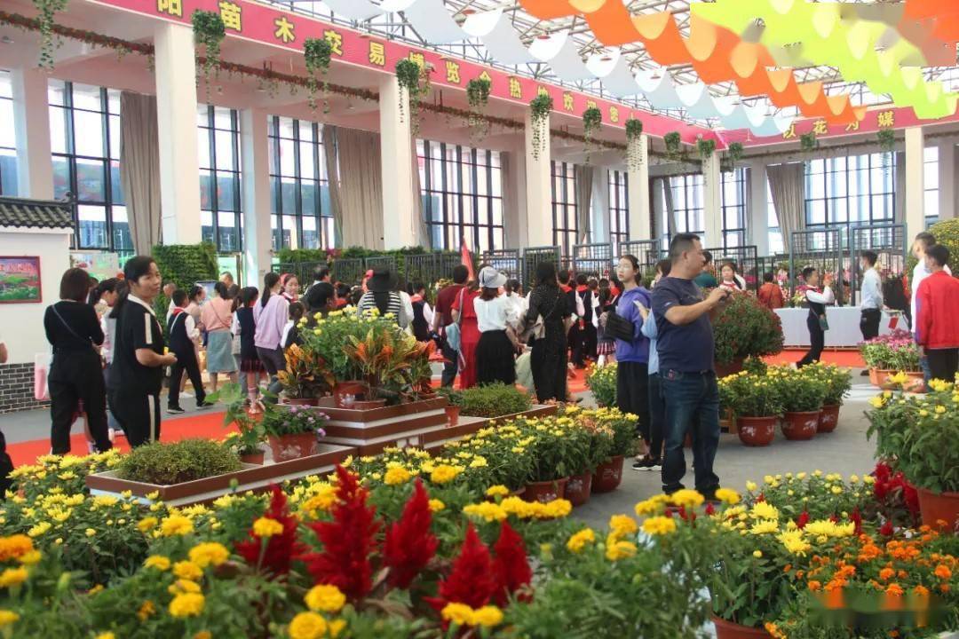 全国展会美食展会_花木展会_普通展会 专业展会