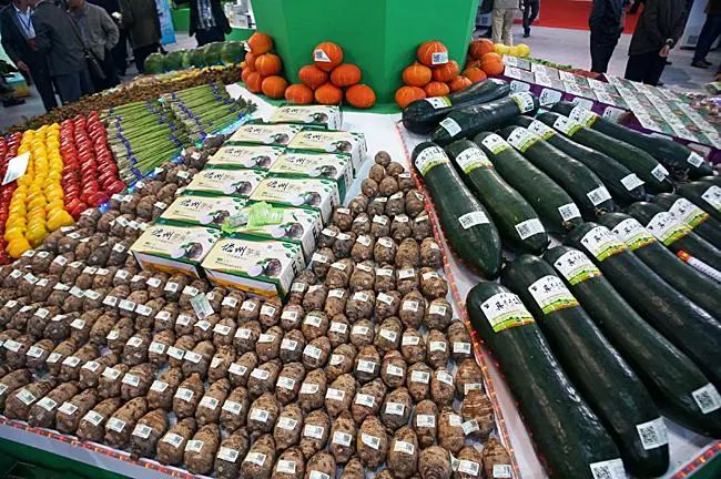 陕西地域特色农特产品_个人能做特色农产品吗_产品名字特色