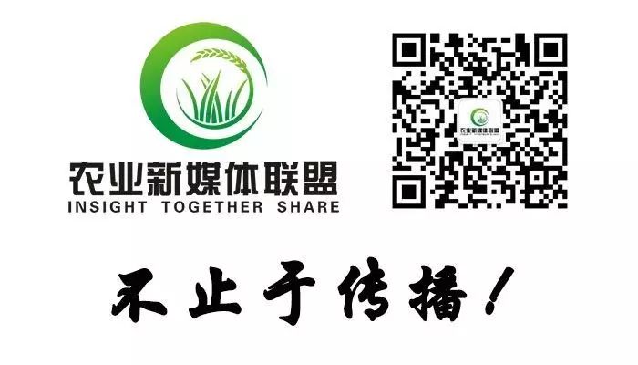 中国名牌农产品标志_中国名牌标志大全饮料_中国名牌标志衣服大全