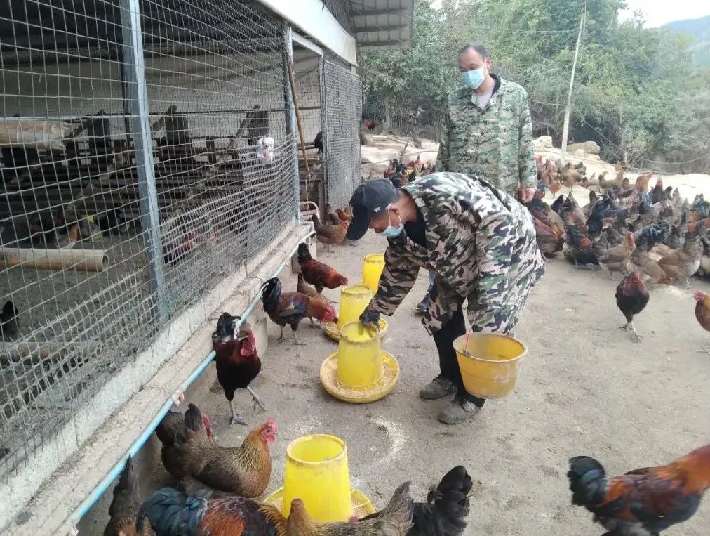 农产品深加工产业_四川豆瓣酱加工产业_植物油料加工产业学