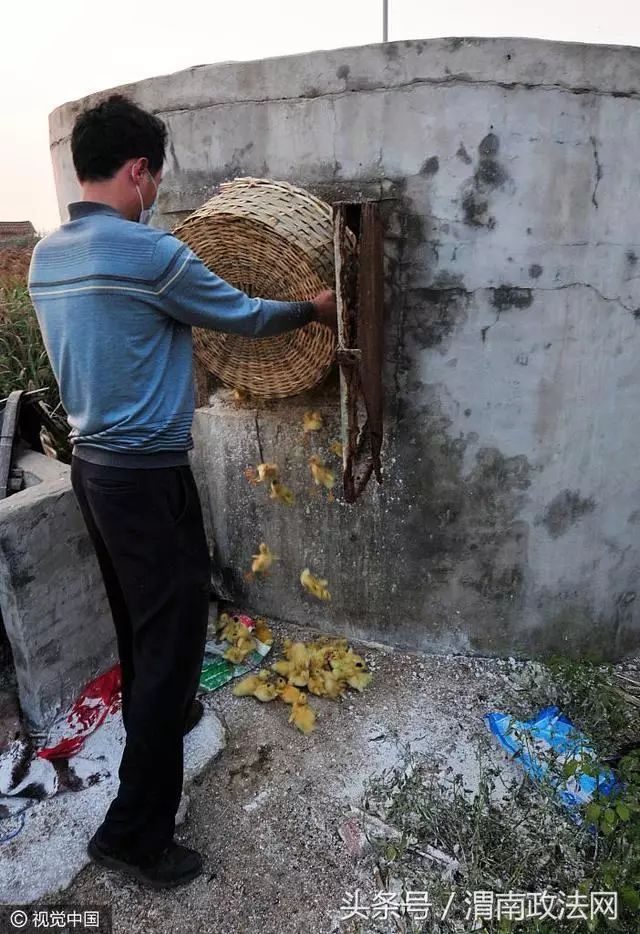 新三板农付产品_农产品滞销大葱_农一网农药产品价格表图片