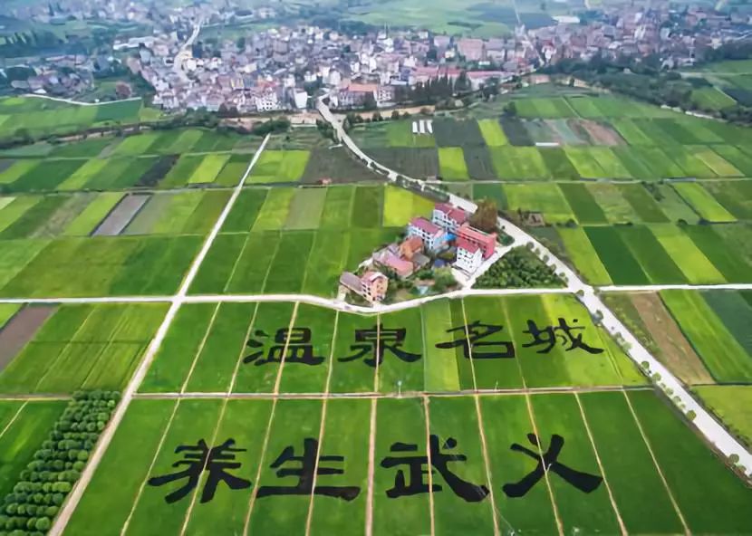 武义温泉节暨国际养生博览会_2015武义温泉节_国际大数据博览201会