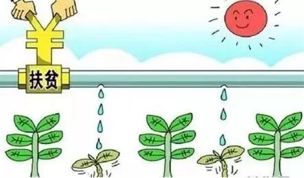 海南金鹿农用车图片_云南农特产品商城_海南农产品商城