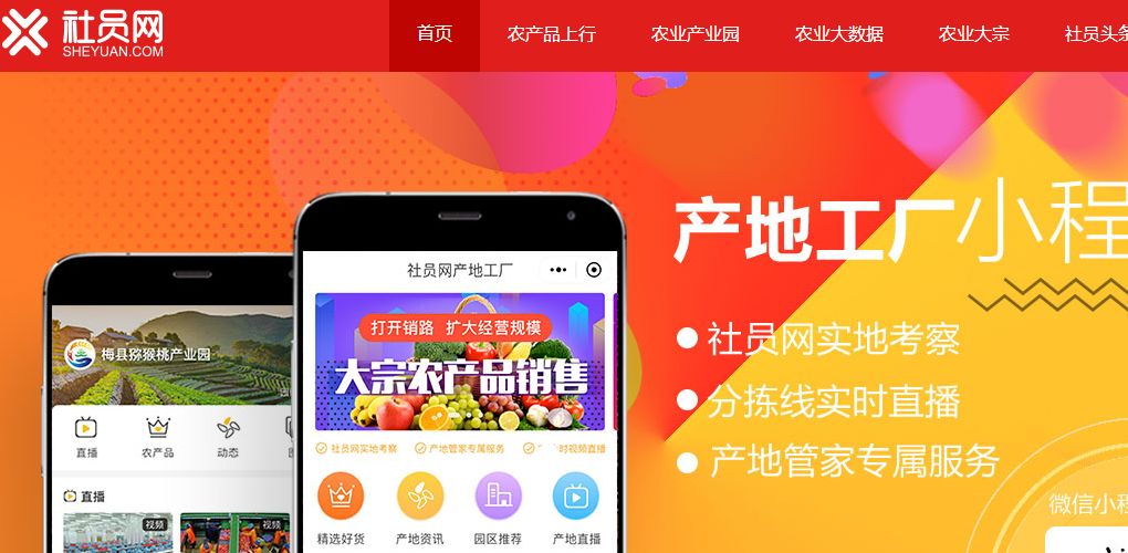 农产品现货交易网app_现货挂牌交易和现货延期交易_铁合金现货网app