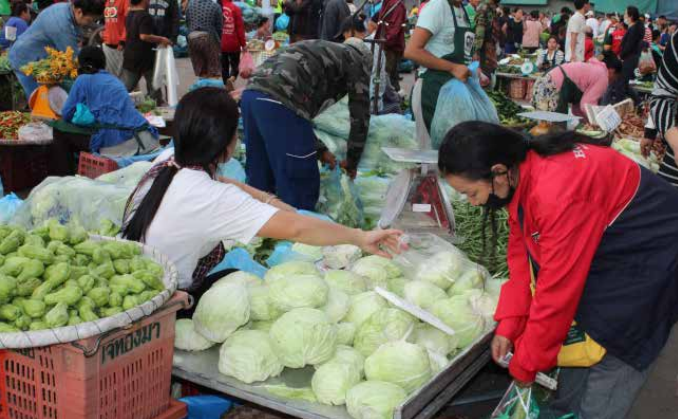 当归行情新思农_中国出口老挝免税产品_老挝农产品价格行情
