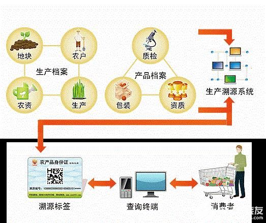 产品结构图和产品信息结构图_外贸交易信息包含哪些信息_农产品信息化交易