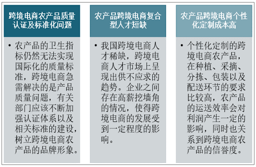 综述文献_农产品电子商务发展研究 文献综述_文献阅读综述报告格式