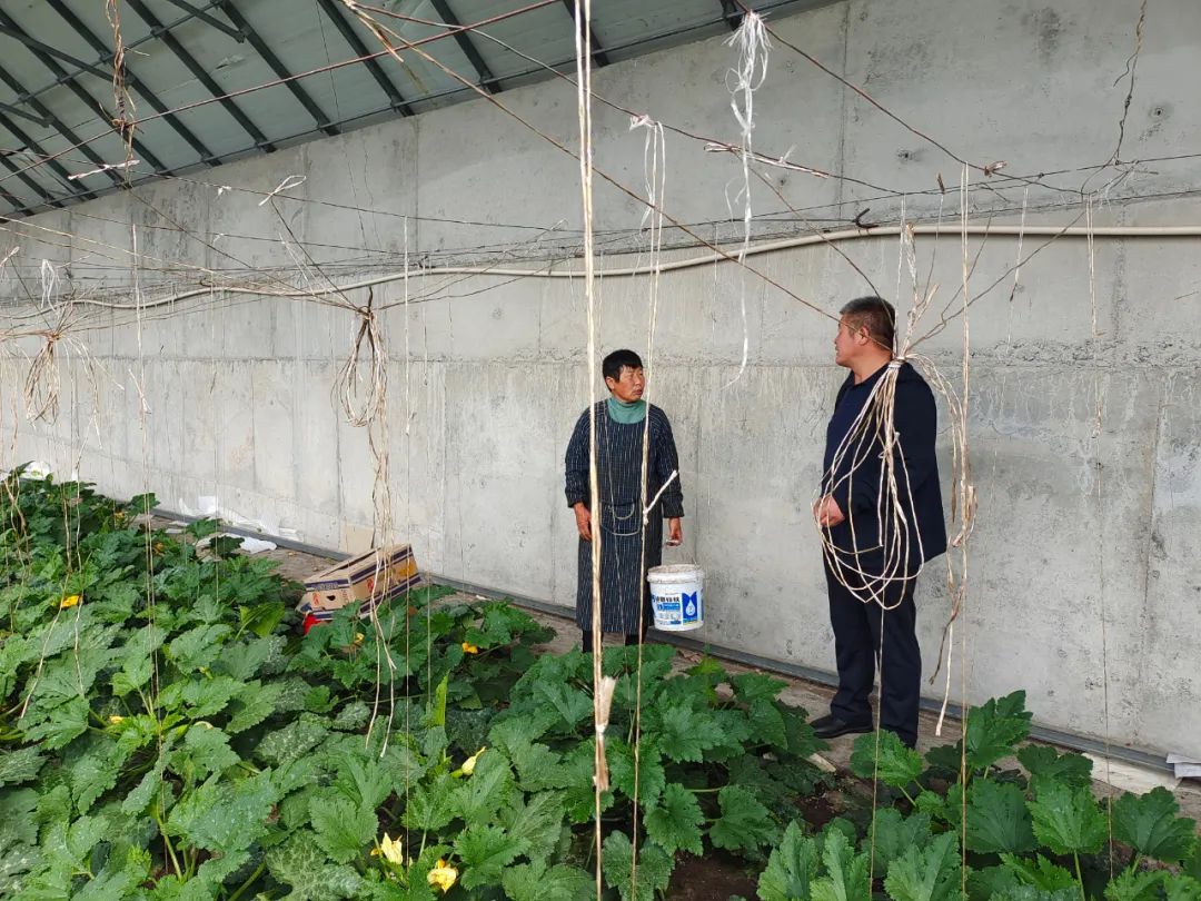 甲胺磷等5种高毒农药已全面禁销禁用_可口可乐承认果粒橙含禁用农药_农产品禁用农药