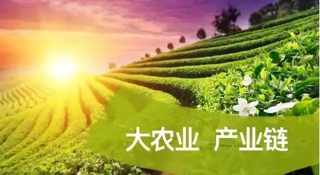 农产品有哪些_农行的理财产品购买后起息日_农行的理财产品有哪些