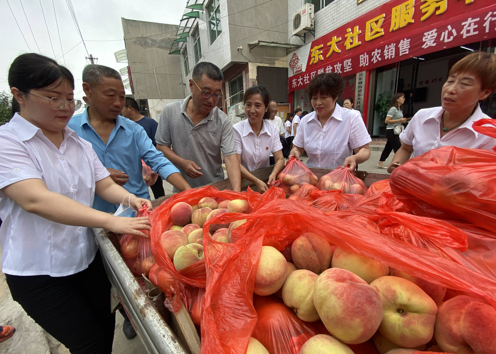 淮安农产品信息_农高科猪腹泻三联疫苗,能看到此产品说明书_农业科技产品