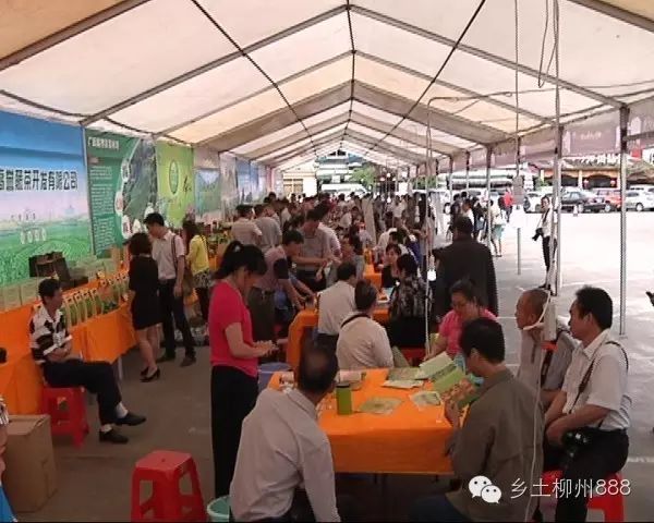 普通展会 专业展会_茶展会_山东茶博会11月份展会2015