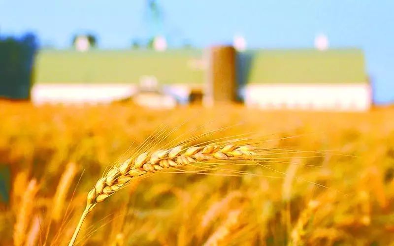 农产品推广方案_推广产品活动方案_农业科技产品