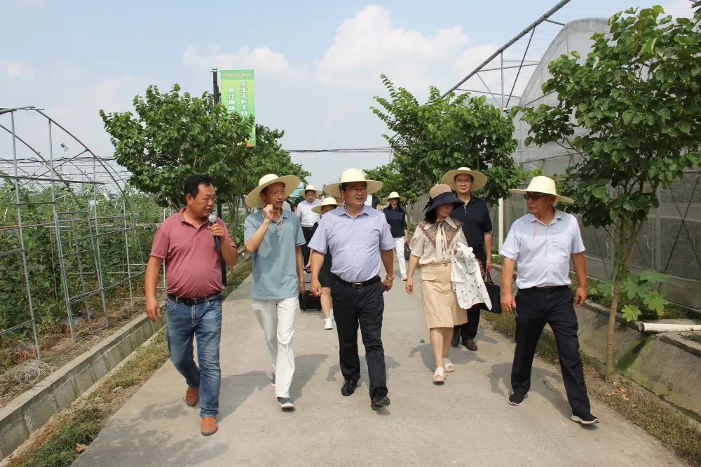 宁波康因姆足浴器湖南市场的产品上市推广策划方案_想微博上推广产品怎么推广好呢?_农产品推广方案