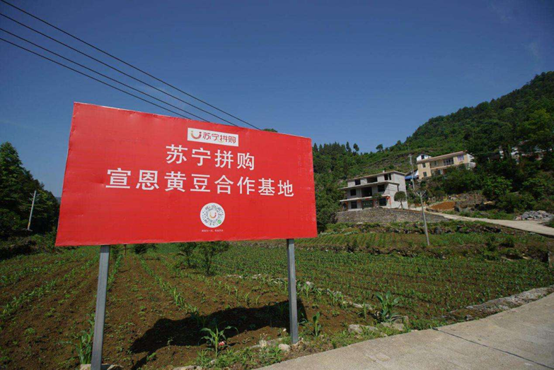 湖北特色农产品_湖北来凤县特色小吃_湖北特色美食加盟