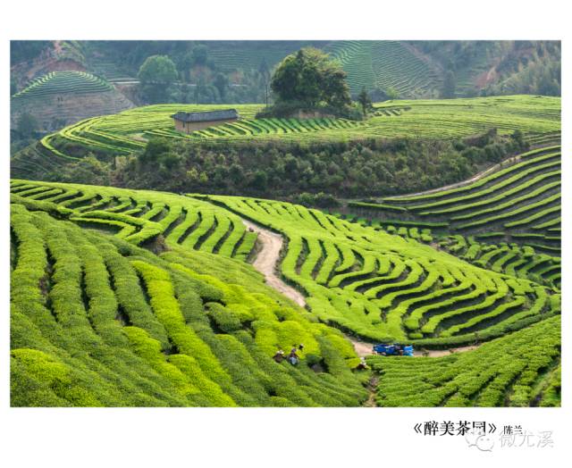 安全产品排名第一的产品_农心方便面 产品_国家农产品质量安全
