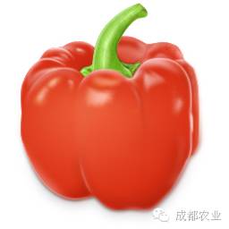 农产品质量安全100问_人生运势500问——面相100问_众泰z700质量问过关吗