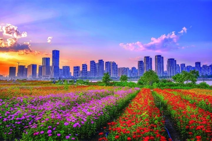 玩博会2015 承办_淄博国际陶瓷博览会人体彩会日志_2004北京国际旅游博览会承办单位