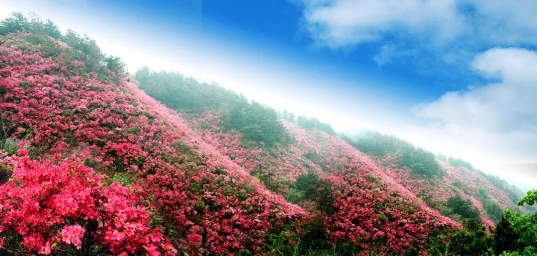 2014年3月2日苏州工业园区博览中心建材团购会_广州旅游博览会_广州性文化博览/会