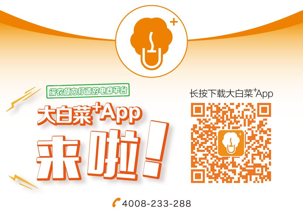 武汉批发零食市场在哪里批发_华东农业大市场_广西农产品批发市场