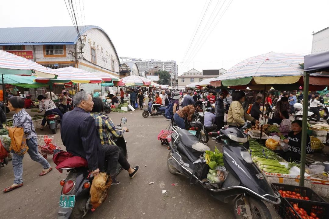 广西农产品批发市场_农业科技产品_万村千乡市场工程是否与银行卡助农取款功能重叠