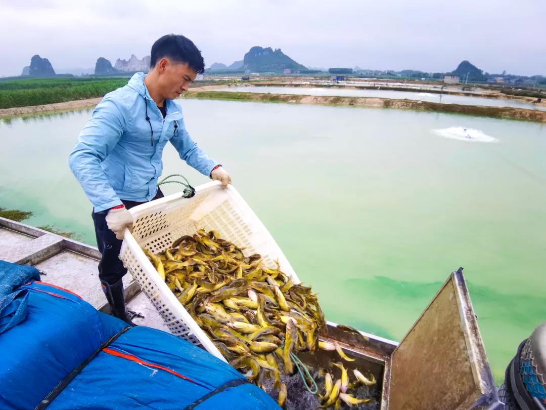 哈尔滨农业博览中心世贸_华鸿农业博览中心最新_第二届海峡两岸现代农业博览会