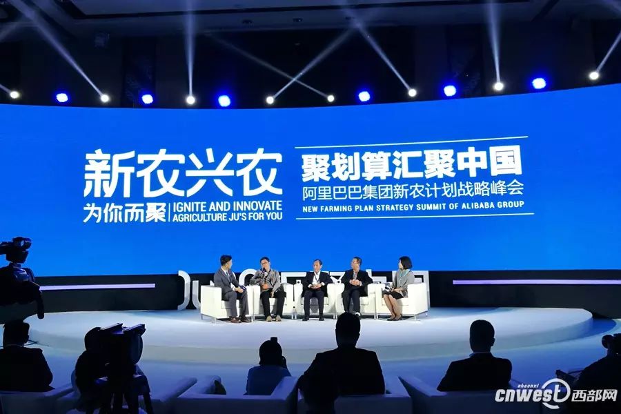 销售农产品税_农产品线上销售方案_华帝线上和线下的产品一样吗