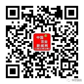 中国第一农药网官网_沈阳农产品行业网_中国农业农产品信息网