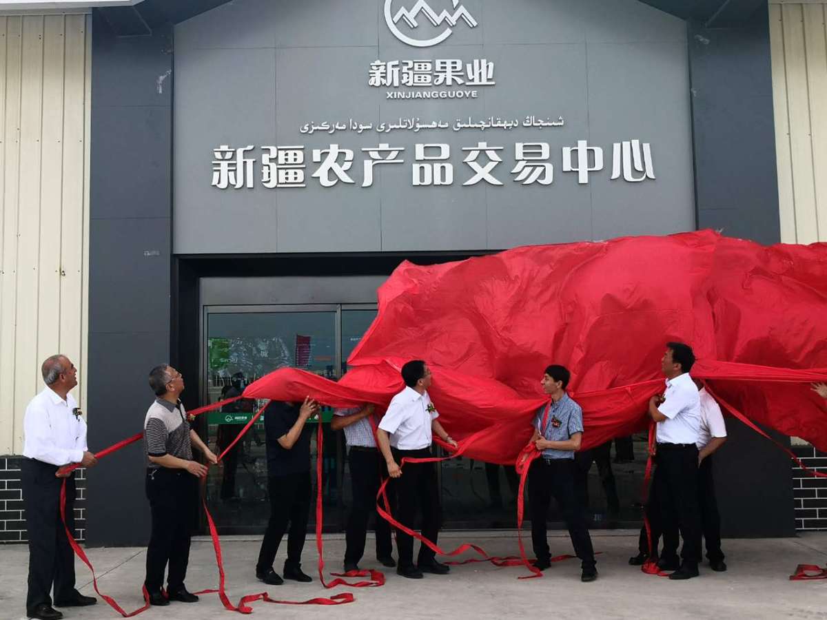 新疆特色农产品品牌_新疆特色林果产品开拓华南市场研究电子书_新疆特色农产品品牌