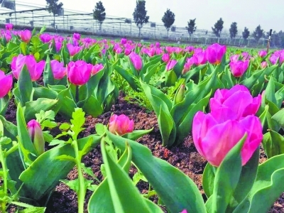西安原点家居博览中心_西安花卉 博览会_昆明商洽会博览