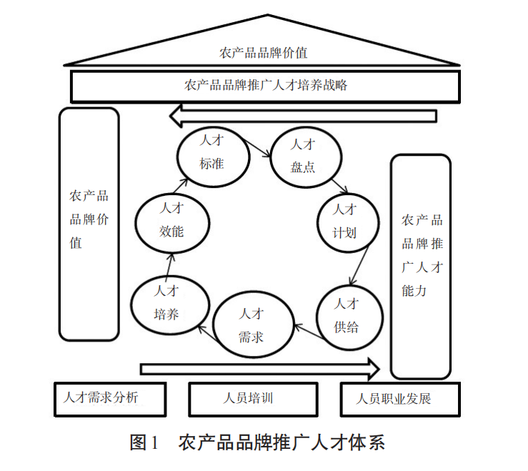 用户产品经理和策略产品经理_网络为王网络时代的品牌建设策略_农产品网络营销策略