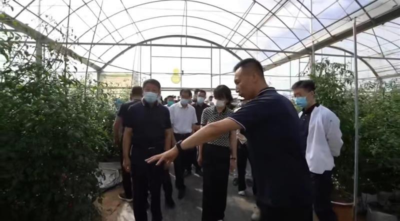 农商行利享存是理财产品_宁夏农投集团领导班子_宁夏特色农产品是什么
