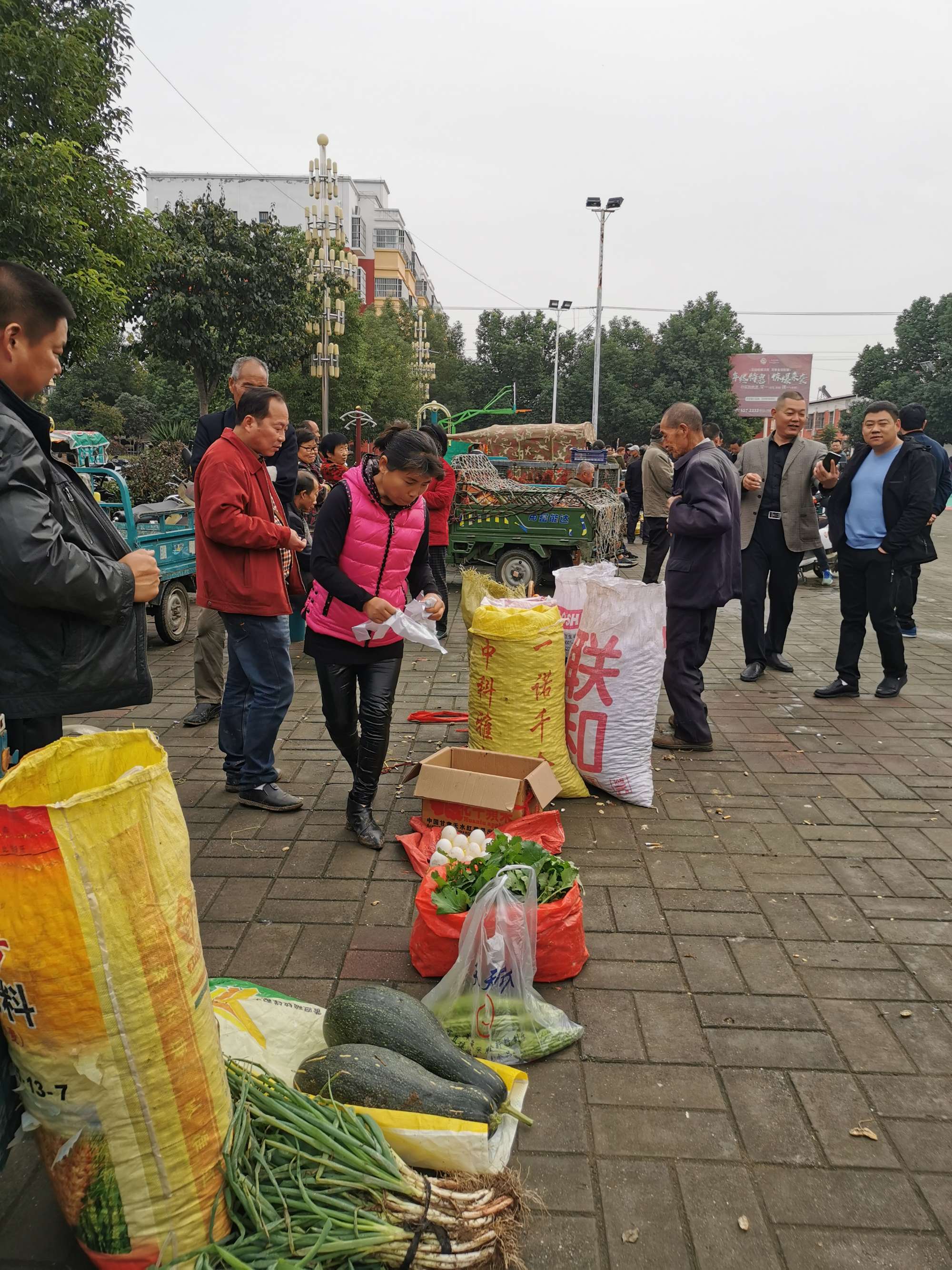 宁夏特色农产品是什么_宁夏裕农供销有限公司_宁夏吴忠农业科技园区