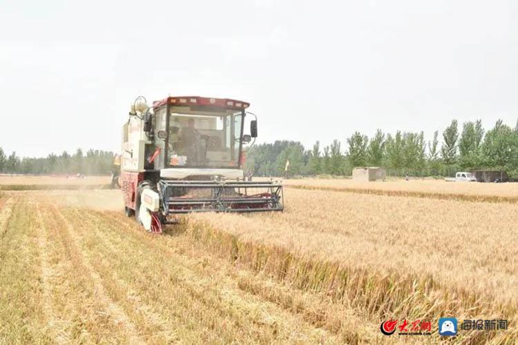 农蛙农业上海发布会_博农农业_山东农业大学 农产品机械设备